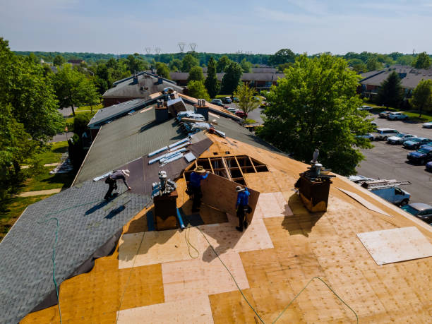 Trusted Storm Damage Roof Repair service in White Stone, SC - Brentwood Metal Roofing